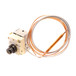 Lochinvar 100157743 Manual Reset High Limit Kit Image 3