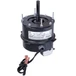 Modine 9F30216 FP 53673 A0824A3684 Motor, 9F0302160000 Image 1
