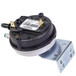 Schwank/Infrasave JS-0578-UL Blocked Flue Switch