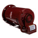 Bell-Gossett-169231 Image 2