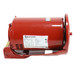 Bell-Gossett-169233 Image 2
