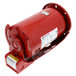 Bell-Gossett-169233 Image 1