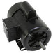 Century Motors C313 Image 2