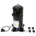 Copeland ZP34LXE-TF5-800 Image 1