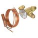 Alco-Controls-47758 Image 3