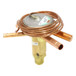 Alco-Controls-55931 Image 3