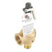 Kunkle Valve 6010FEE01AAM0150 Image 2