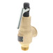 Kunkle Valve 6010GFM01AAM0125 Image 2