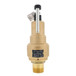 Kunkle Valve 6010HGE01AAM0150 Image 1