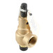 Kunkle Valve 6010HGM01AAM0100 Image 4