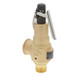 Kunkle Valve 6010GFM01AAM0150 Image 1