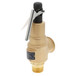 Kunkle Valve 6010GFM01AAM0150 Image 2