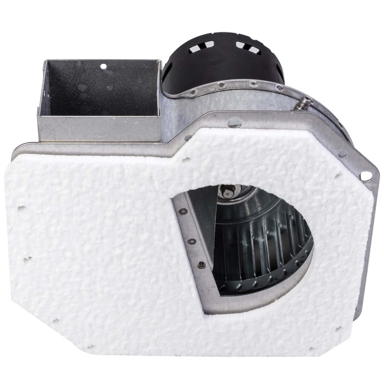 cocoange　0823C★ Amazon.com: PAROD 172889 172888 Front Suspension Shock