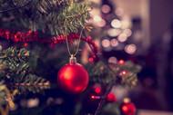 How to Pick the Best Christmas Holiday Suspenders