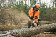 Everything You Need to Know About Logger Suspenders