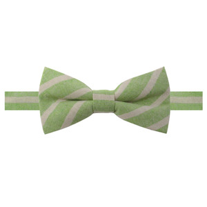 Men's Emery Variegated Diagonal Stripe Pre-Tied Adjustable Banded Bow Tie - Green