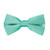 Bow Tie in Mint Green