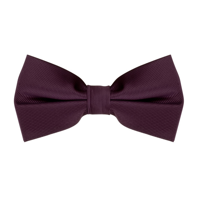reme bow tie