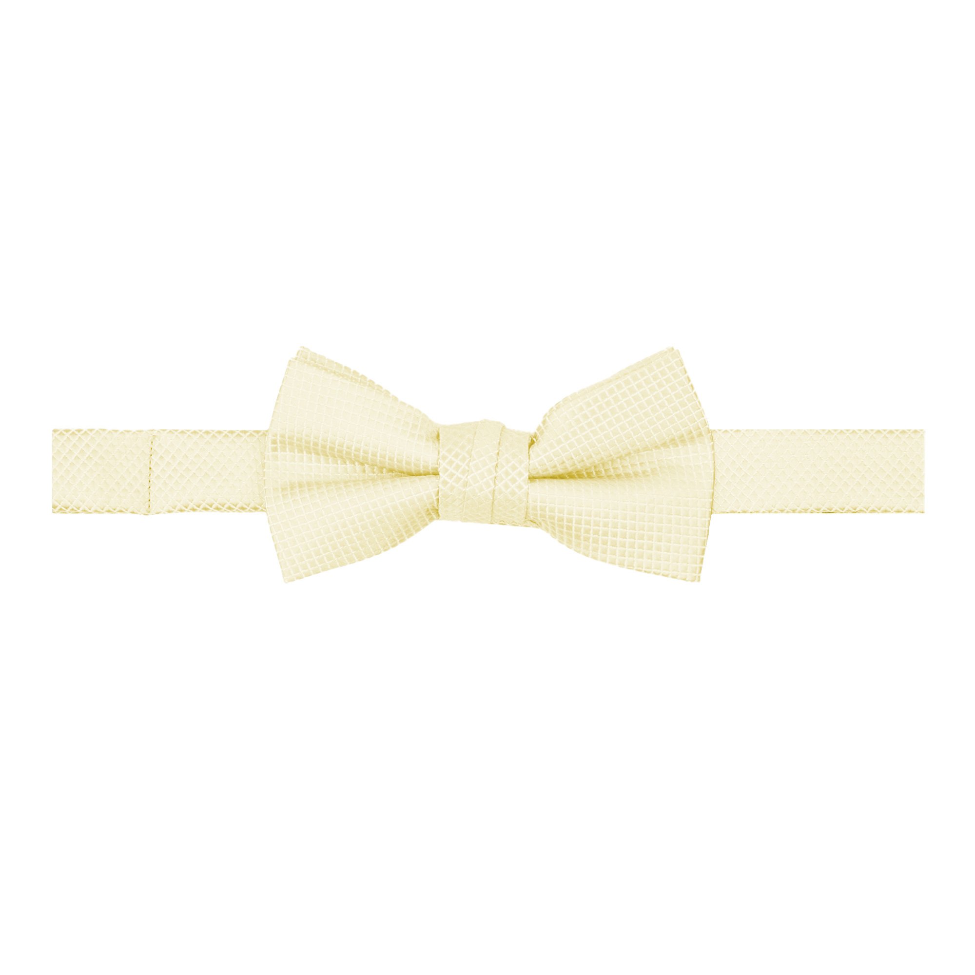 Young Boys' Woven Subtle Mini Squares Pre-Tied Adjustable Banded Bow Tie - Champagne