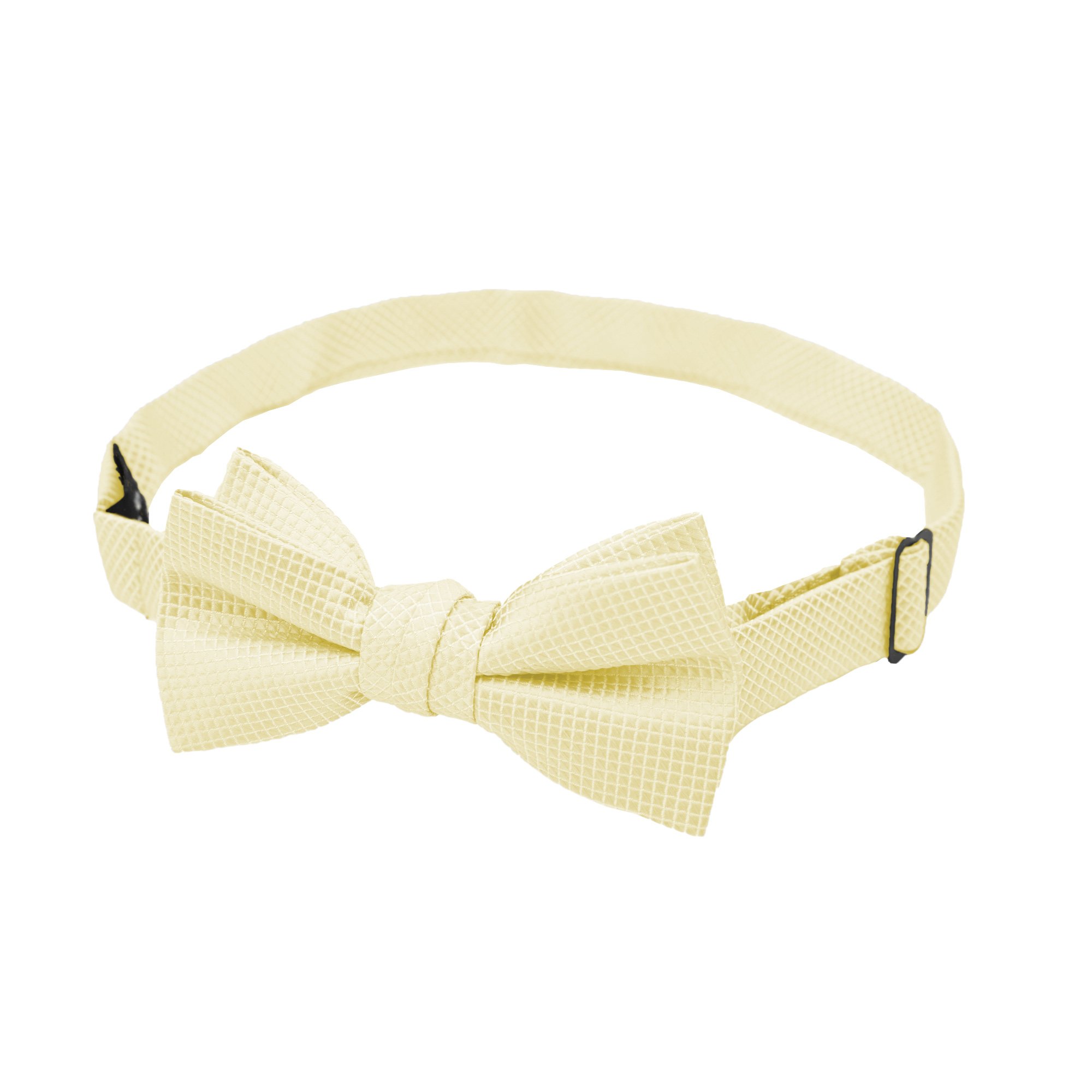 Young Boys' Woven Subtle Mini Squares Pre-Tied Adjustable Banded Bow Tie - Champagne