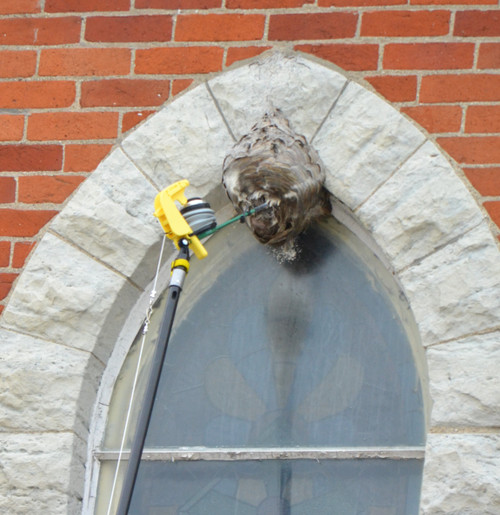 12ft TabPole Pro Spray-N-Dust System Using The Powder Duster