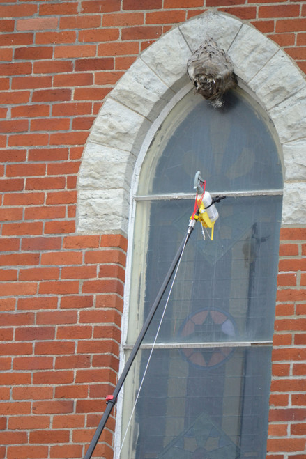 Using the Pro Spray-N-Dust system deluxe to spray a wasp nest using the Gotcha Spray Bottle without using a ladder