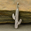 Small cactus sterling silver charm pendant with background. 
