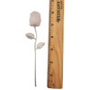 6" Rose Quartz on a stem with a ruler.  