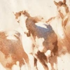 Z Supply Boyfriend Tee Shirt - Howdy Horses - close up graphic print view