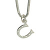 Lucky horseshoe silver plated charm pendant.