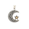 Moon and star silver pendant. 