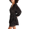 Z Supply Easy To Love Leopard Print Mini Dress