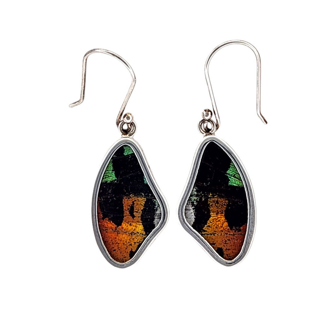 Urania butterfly wing earrings.  