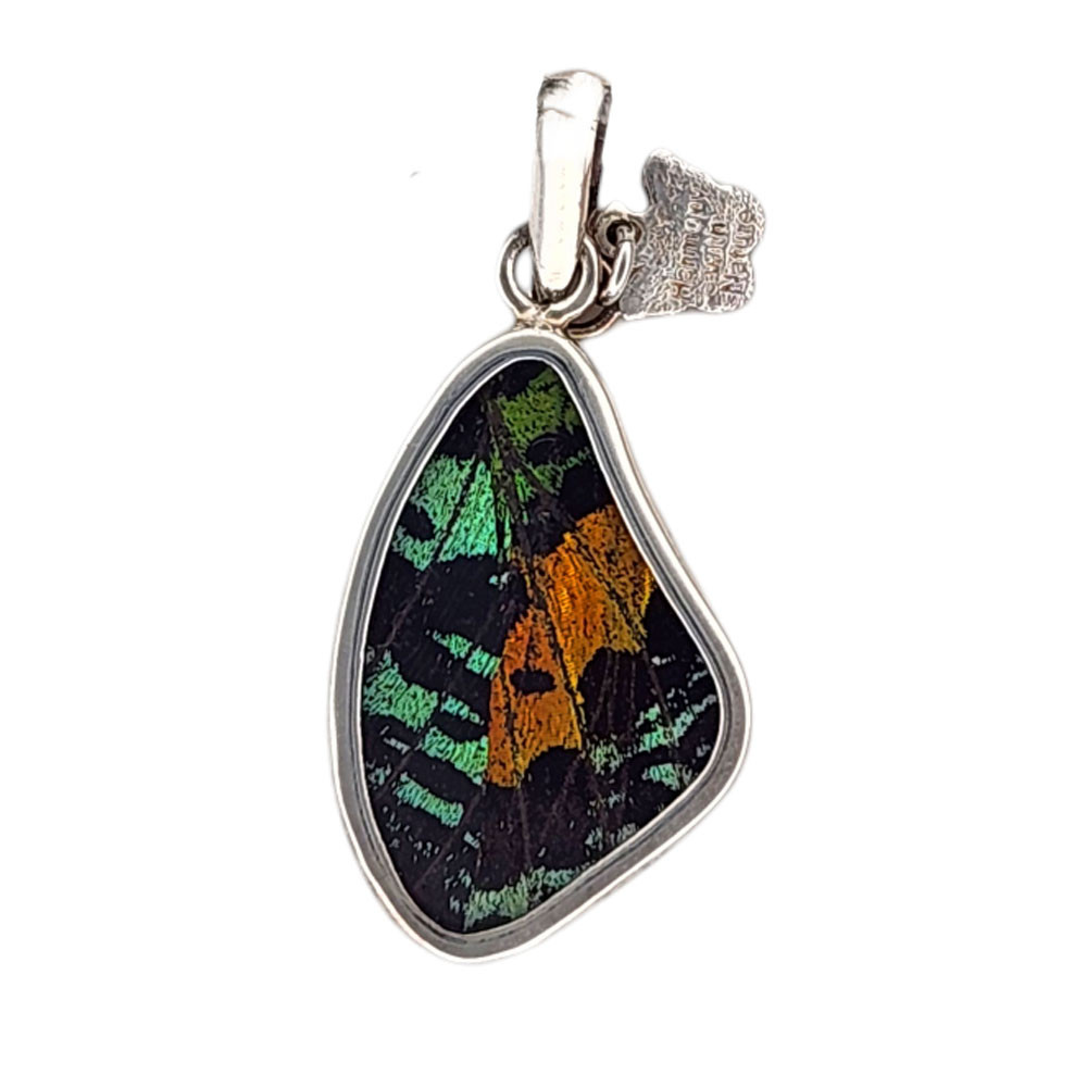 Urania butterfly wing pendant. 