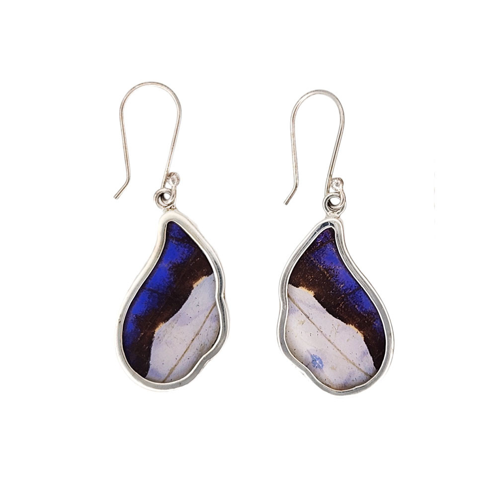 Blue Morpho butterfly wing sterling silver earrings.  