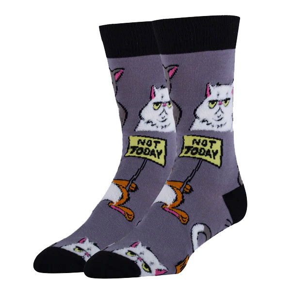 Not Today Kitty Men's Socks