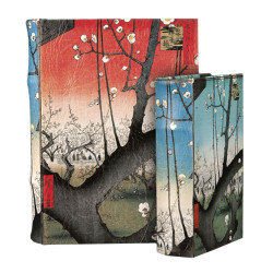 Enchanted World of Boxes