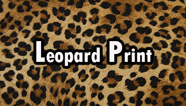Leopard Print
