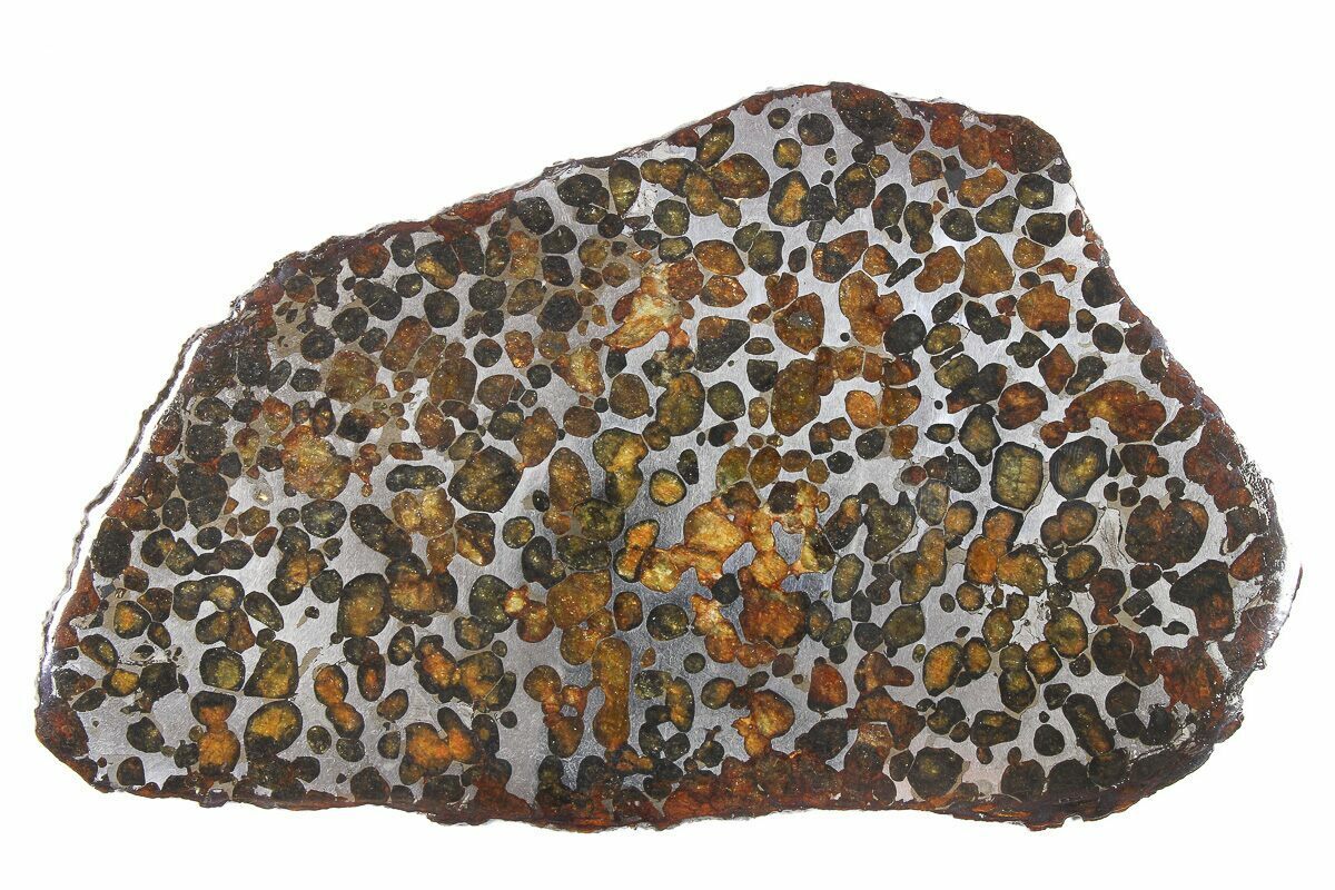 sericho-pallasite.jpg