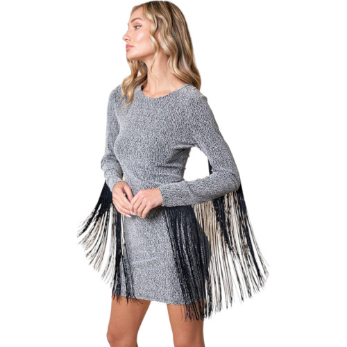 METALLIC SILVER BODYCON FRINGE DRESS | PURPLE LEOPARD BOUTIQUE