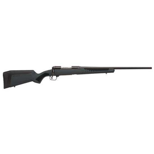 SAV 110 HUNTER 22-250 22 GRAY ACCUFIT 4RD DBM