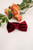 Velvet Groomsmen Bow Tie