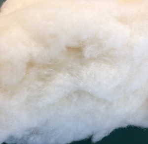 GOTS Certified Organic Wool GOTS Certified Organic Wool