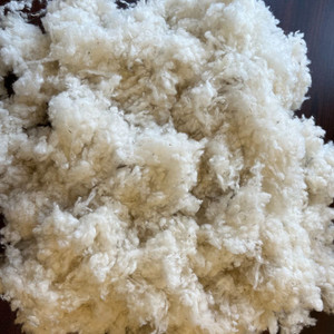 Wool Batting for Stuffing Animals, Crafts, Cushions, Pillow Filler, Needle  Felting (16oz, Natural White) 