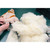 Filling the emotional support chicken Filling the emotional support chicken