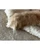 The Cat's Meow Cat Bed