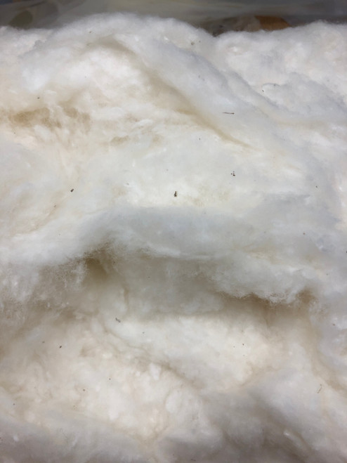 Organic Cotton Batting - Natural - 1 Pound