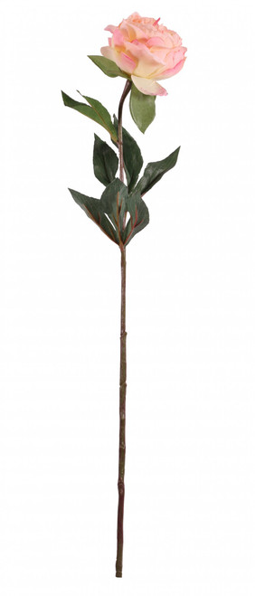 68cm Single Peach Peony 68cm Single Peach Peony
