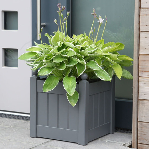 AFK Small Classic Painted Planter - Charcoal AFK Small Classic Painted Planter - Charcoal