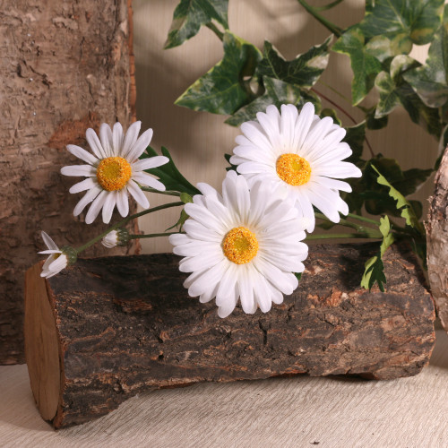 Cottage Garden Daisy Spray